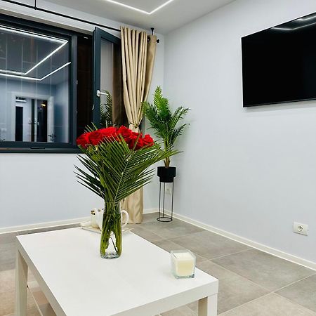 טימישוארה Ppu Home מראה חיצוני תמונה