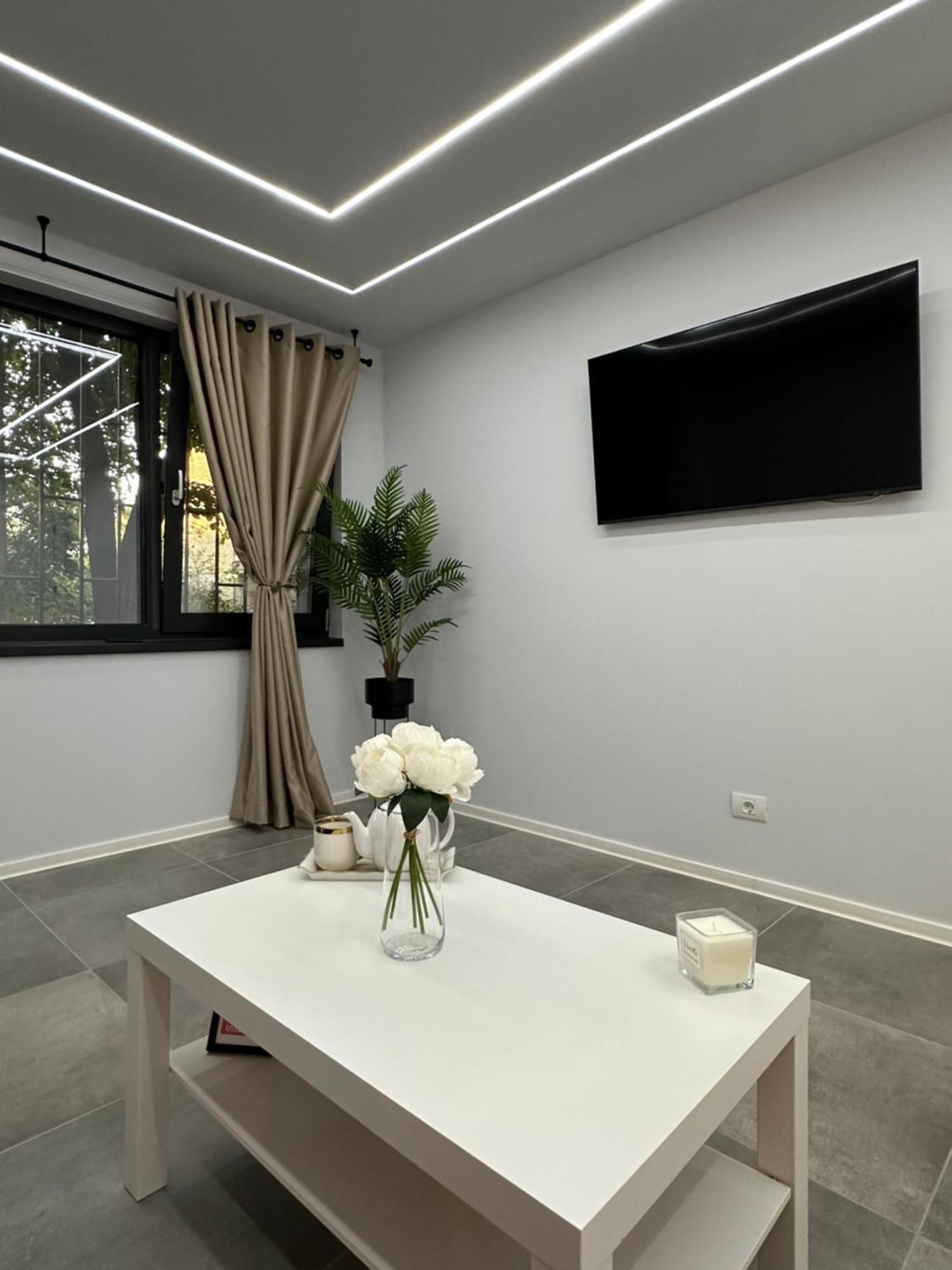טימישוארה Ppu Home מראה חיצוני תמונה
