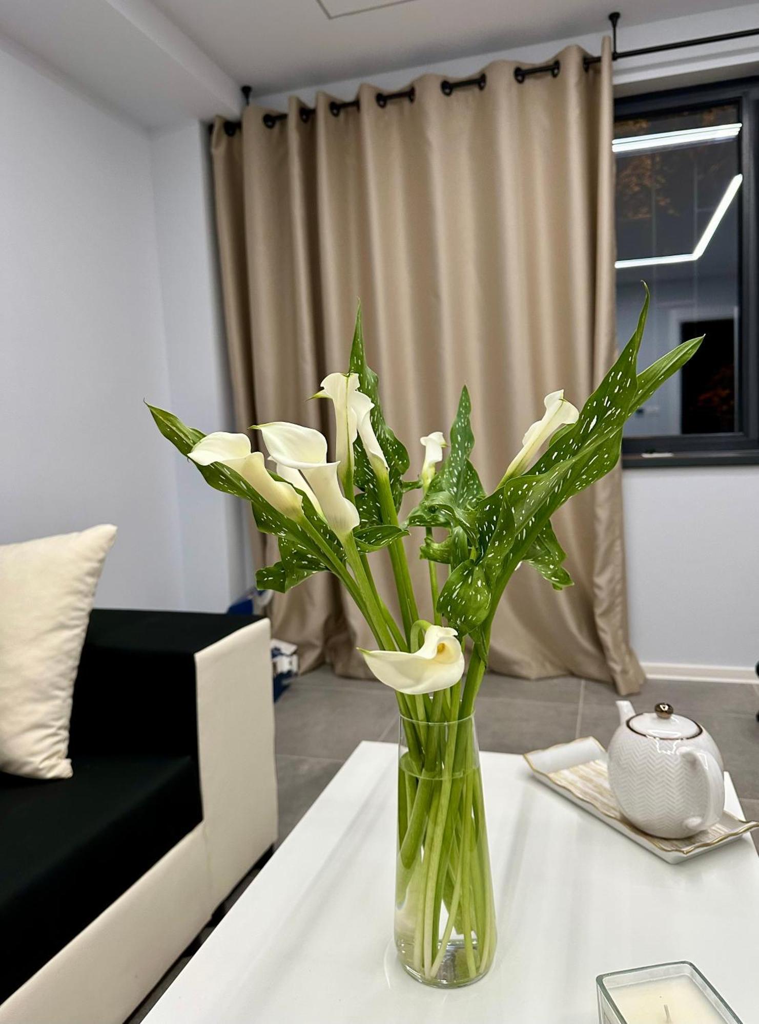 טימישוארה Ppu Home מראה חיצוני תמונה