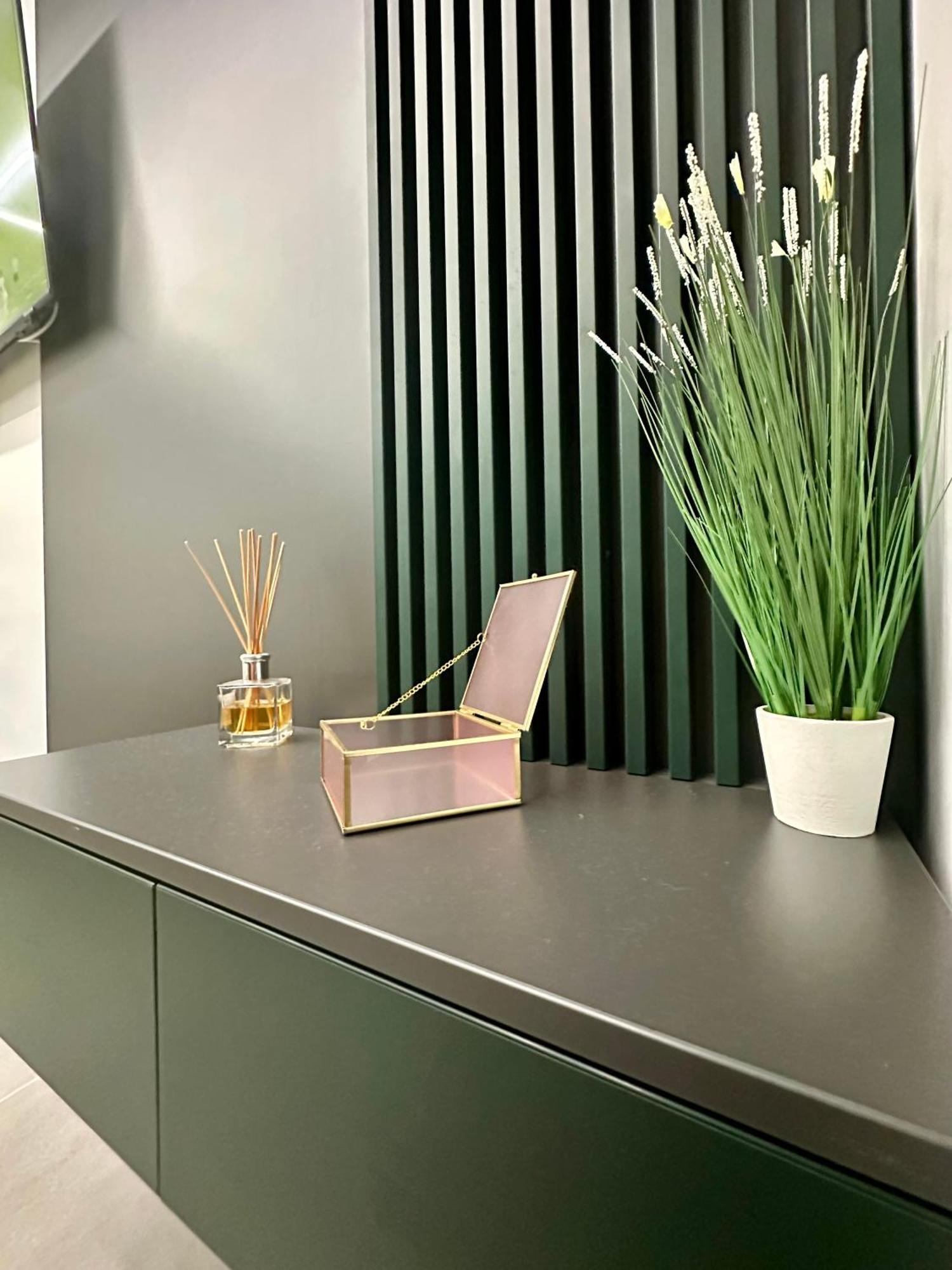 טימישוארה Ppu Home מראה חיצוני תמונה